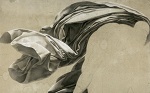<B>Lyon</B> : Drap&eacute;